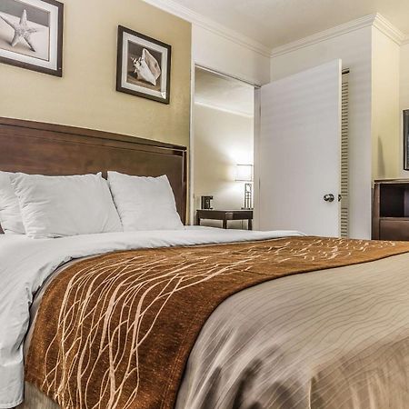 Comfort Inn Санта-Круз Екстер'єр фото